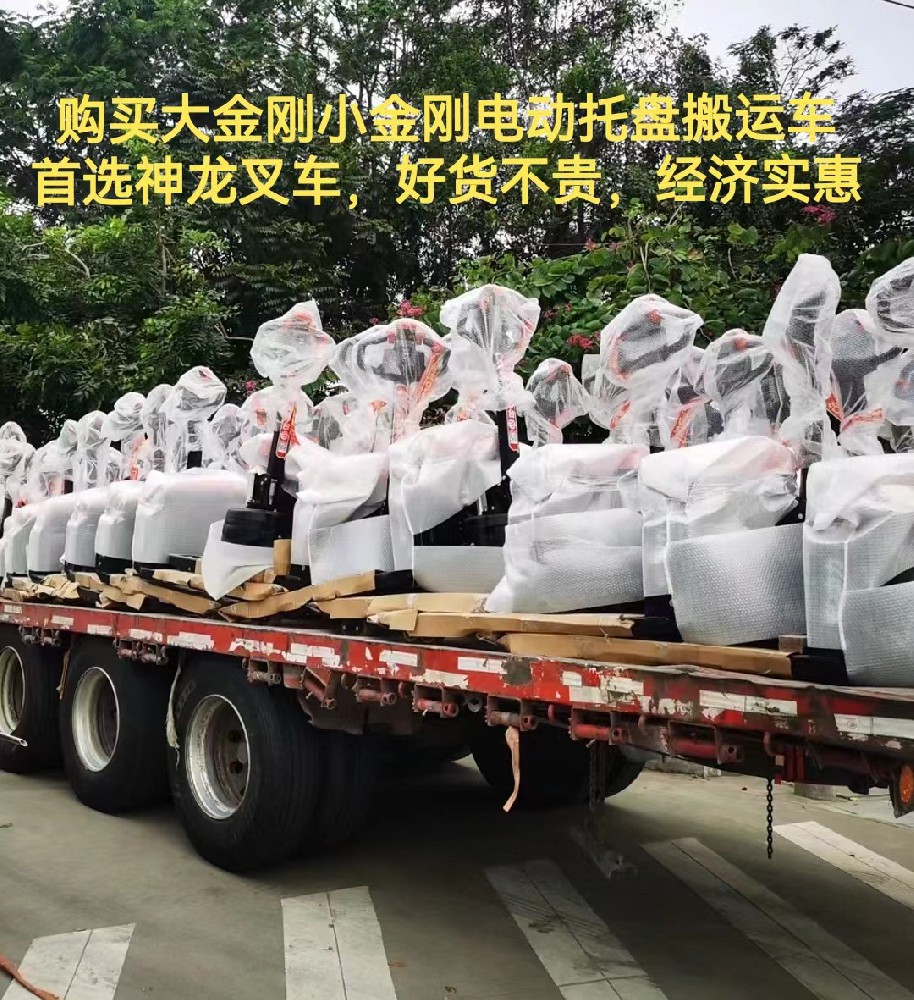 神龙叉车实物实拍